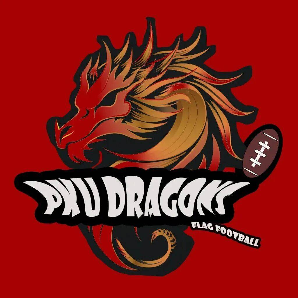 战报 | 北大腰旗橄榄球队获第14届NFL大学碗全国总决赛季军